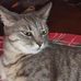 Profile Picture of Michael Ragland (@michael.ragland.585) on Facebook