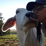 Profile Picture of Stacey Clark (@stabenbrahmanstud) on Instagram