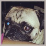 Profile Picture of Vicky Stratton (@vbs82711) on Instagram