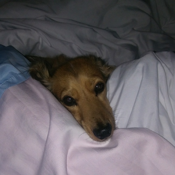 Bill Zieser - Poshmark Profile Picture of Bill Zieser (@want2gf) on Poshmark