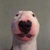 Profile Picture of WALTER (@@owenn_09) on Tiktok