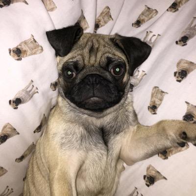 Profile Picture of Stuart Wright (@stuart_j_wright) on Twitter