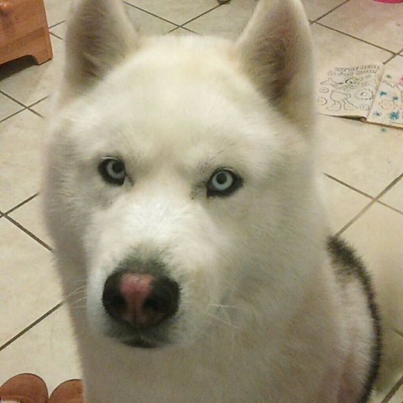 Profile Picture of Clarissa Cabrera (@clarissacabrera) on Poshmark