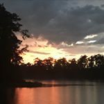 Profile Picture of Darren Foreman (@dpforeman) on Instagram