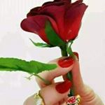 Profile Picture of ray badal (@badal5209) on Instagram