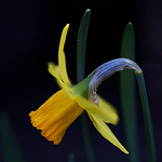 Profile Picture of Toshiaki Naito (@stellaworld) on Flickr