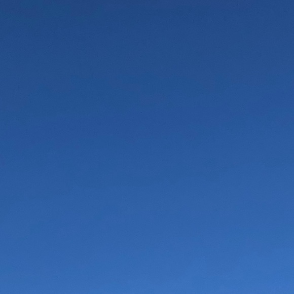 Profile Picture of Shannon Holender (@iconicpancakes) on Poshmark