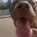 Profile Picture of joel mange (@jmange0063) on Pinterest