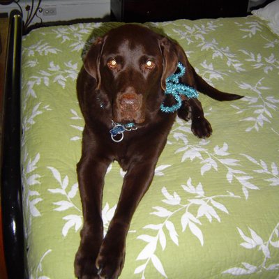 Profile Picture of Jeffrey Rogerson (@jrogerson) on Twitter