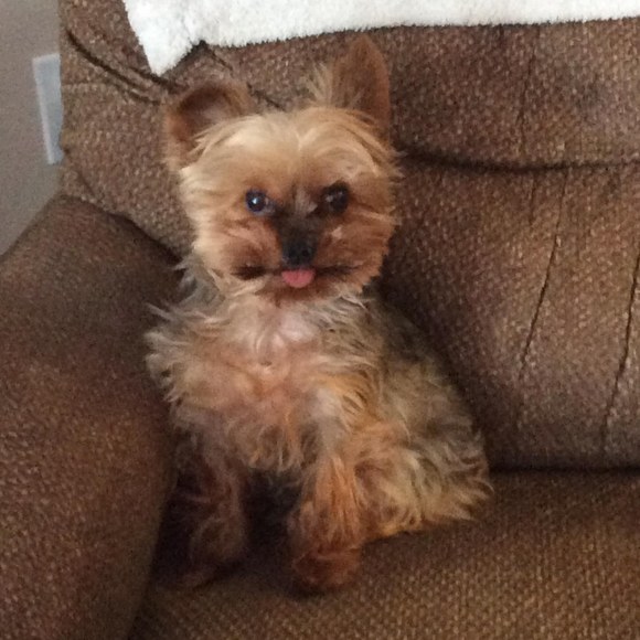 Profile Picture of Isabel White (@iwhite7113) on Poshmark