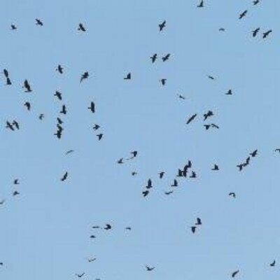 Profile Picture of Bilal Bey (@bilalbey3) on Twitter