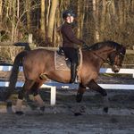 Emilie & Bølle🇩🇰 - Instagram Profile Picture of Emilie & Bølle🇩🇰 (@emilie.m.olsen) on Instagram