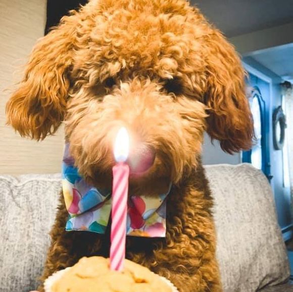 Christi Stutz - Poshmark Profile Picture of Christi Stutz (@christistutz) on Poshmark