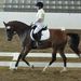 Profile Picture of Cyndi Craig (@donerailfarm) on Pinterest