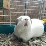 Profile Picture of landon scott mcreynolds (@landonscottmcreyn) on Instagram