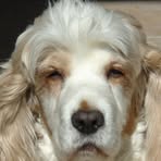 Profile Picture of Gregory Airault (@gregory.airault) on Facebook