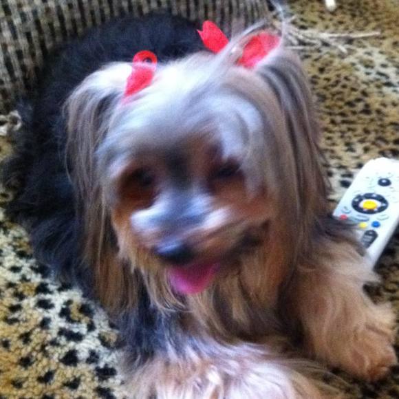 Profile Picture of Aidin Rubilar (@aidinrubilar) on Poshmark