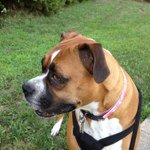 Profile Picture of Kevin Cauley (@kcauley739) on Instagram