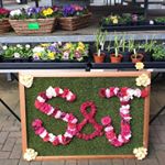 Profile Picture of S&J crafts horticulture (@simon.lees.330) on Instagram