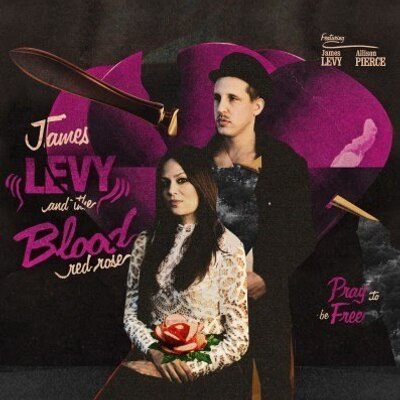 Profile Picture of The Blood Red Rose (@JamesLevyBRR) on Twitter