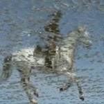 Profile Picture of Christian Spiegeleer (@crapaudvolant) on Instagram