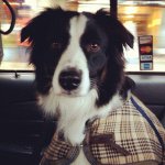 Profile Picture of Patton Theodore (@pattontheodore) on Instagram