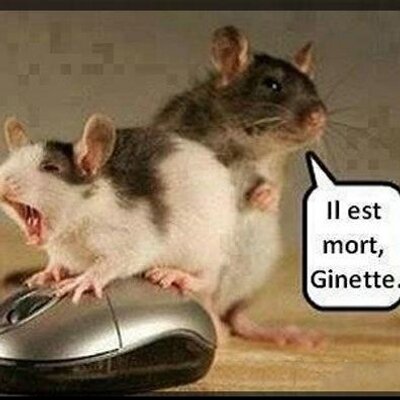 Profile Picture of Thomas Renaud (@TomRenaud2) on Twitter