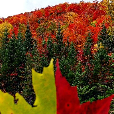 Profile Picture of Marc Cantin (@MarcCantin3) on Twitter