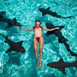 Profile Picture of Chong Yong (@swazeny) on Instagram