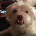 Profile Picture of Tricia Schmidt (@tricia.schmidt.5832) on Facebook