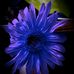 Profile Picture of Mark Boucher (@mark.boucher.5059) on Facebook