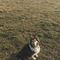 Profile Picture of Shellie Jacobson (@shellie.jacobson.12) on Facebook