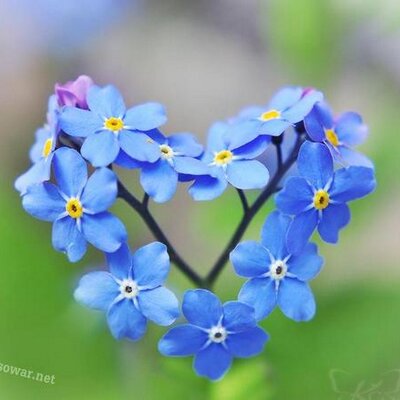 Profile Picture of Mohamed Fawaz (@mohamedfawaz82) on Twitter