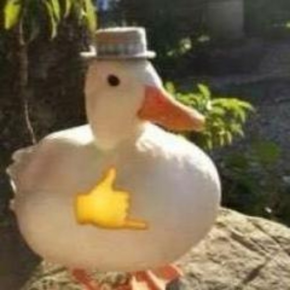 Profile Picture of Katelin Subbie (@salamanderbro) on Poshmark