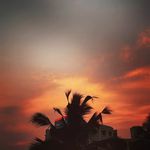 Profile Picture of 𝕊𝕦𝕛𝕚𝕥𝕙𝕒 𝕋𝕒𝕝𝕒𝕟𝕜𝕚 (@talanki_sujitha) on Instagram