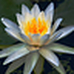 Profile Picture of Irfan Hafiz (@irfanhafiz) on Flickr