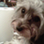 Profile Picture of Cathy And Neal Allen (@tworevs52) on Flickr