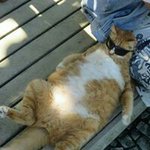 Profile Picture of Luis Mauro Pretel Zubiate (@mauro.pretel) on Instagram