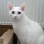 Profile Picture of Maggie Horton (@horton8071) on Instagram