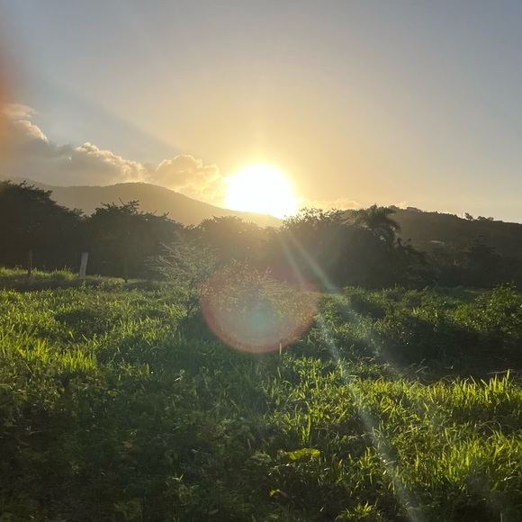 Profile Picture of Mnp Mnp (@mnpposh) on Poshmark