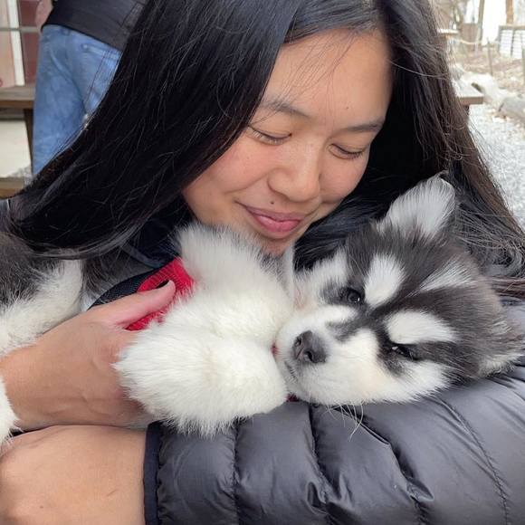 Profile Picture of Allison Bashford (@alliecat1492) on Poshmark