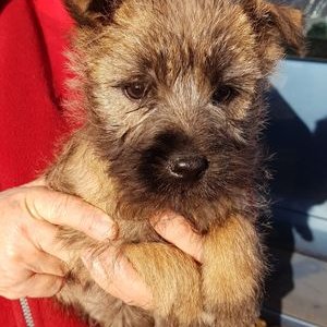 Profile Picture of Andrew Kaczmarek (@AndrewKaczmare3) on Twitter