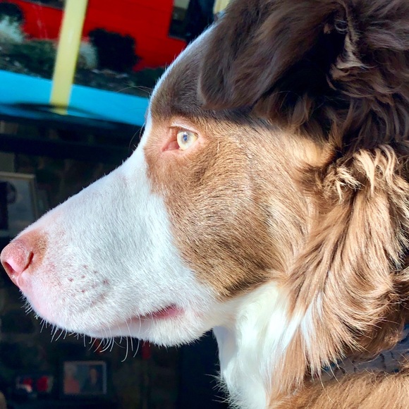 Profile Picture of Mike Huber (@mth6463) on Poshmark