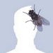 Profile Picture of Mitchell Weitz (@21weitzm) on Pinterest