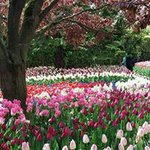 Profile Picture of Cindy Edlund (@edlundcindy) on Instagram