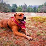 Profile Picture of Patrick McQuillen (@mr_mcquillen) on Instagram