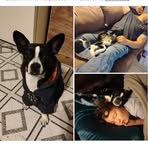 Profile Picture of Nathan Sanson (@Nathan-Sanson) on Facebook