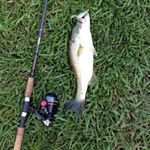 Profile Picture of james__caddell (@james__caddell) on Instagram