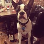 Profile Picture of matthew ranson (@mattmoo_r) on Instagram