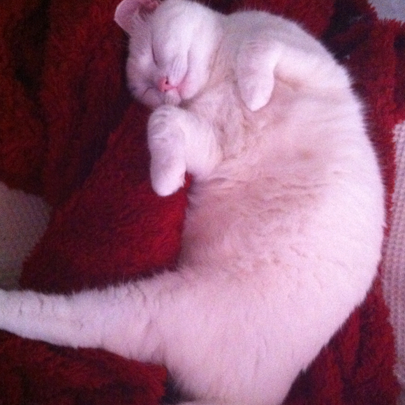 Profile Picture of Pat Weeks (@forher) on Poshmark